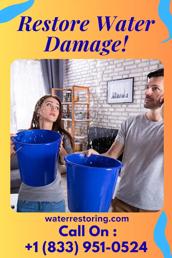 water restoration Sentinel Sewage Cleanup Company The Homesteads