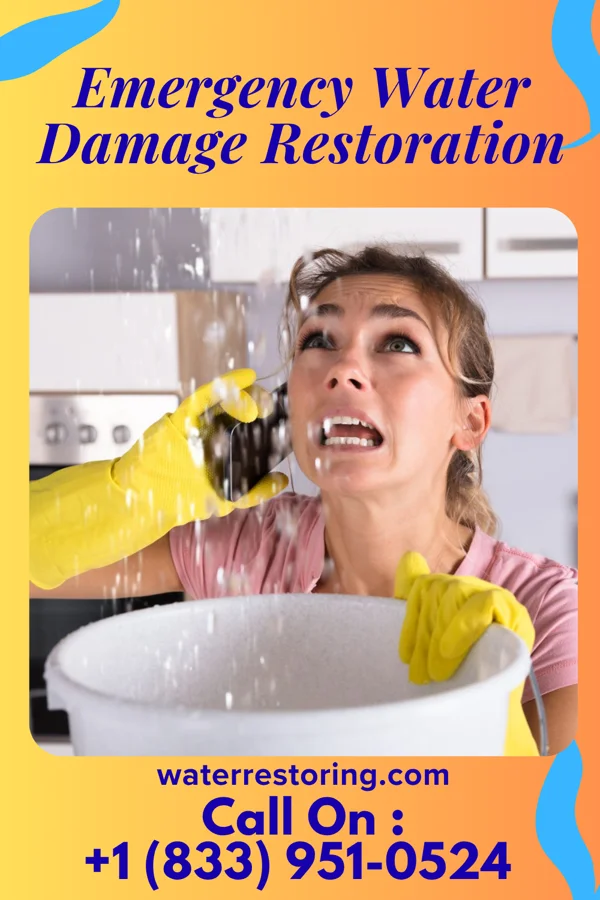Emergency Water Damage Restoration in The Homesteads, TX