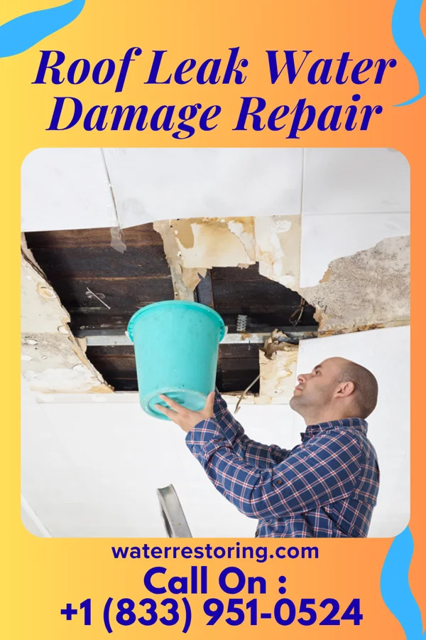 Roof Leak Water Damage Repair in The Homesteads, TX